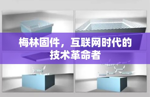 梅林固件,互联网时代的技术革命者 梅林固件,互联网时代的技术革命者