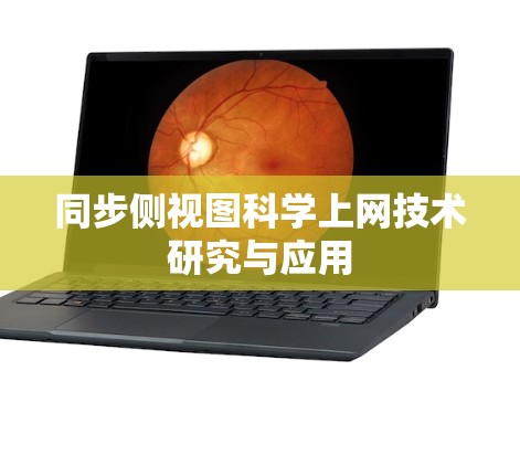 同步侧视图科学上网技术研究与应用