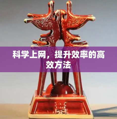 科学上网,提升效率的高效方法 科学上网,提升效率的高效方法