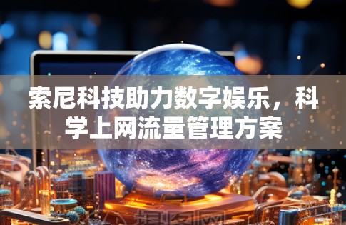 索尼科技助力数字娱乐，科学上网流量管理方案