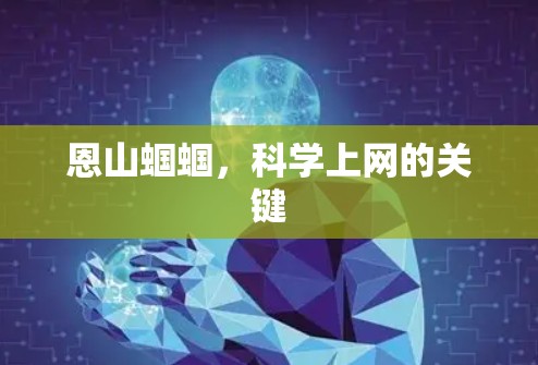 恩山蝈蝈,科学上网的关键 恩山蝈蝈,科学上网的关键