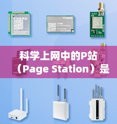 科学上网中的P站(Page Station)是一个重要的概念,主要涉及服务器和网站运行中的关键信息。以下是对P站的详细分析 科学上网中的P站(Page Station)是一个重要的概念,主要涉及服务器和网站运行中的关键信息。以下是对P站的详细分析