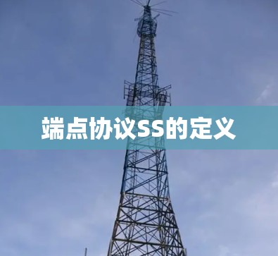 端点协议SS的定义 端点协议SS的定义