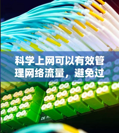 科学上网可以有效管理网络流量，避免过度使用，保护数据安全，提高使用效率。以下是科学上网的步骤和策略
