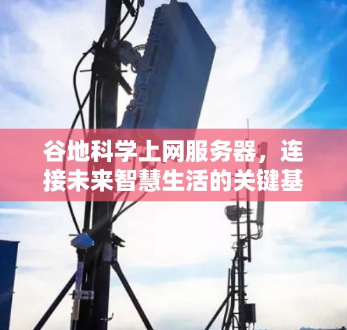 谷地科学上网服务器，连接未来智慧生活的关键基础设施
