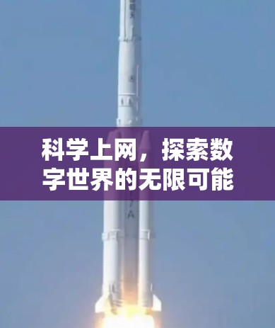 科学上网，探索数字世界的无限可能