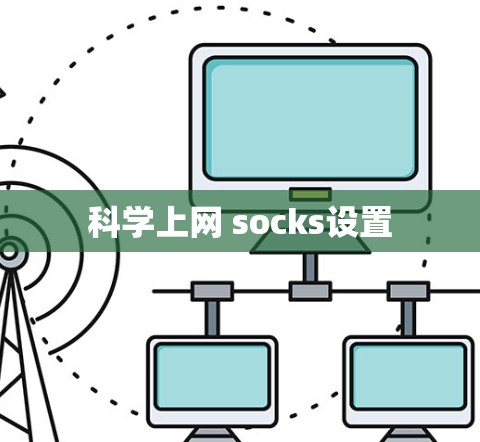 科学上网 socks设置