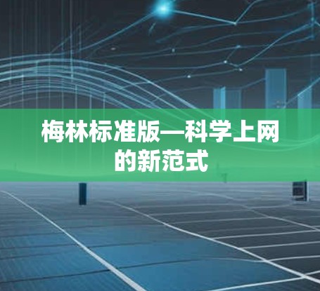 梅林标准版—科学上网的新范式 梅林标准版—科学上网的新范式