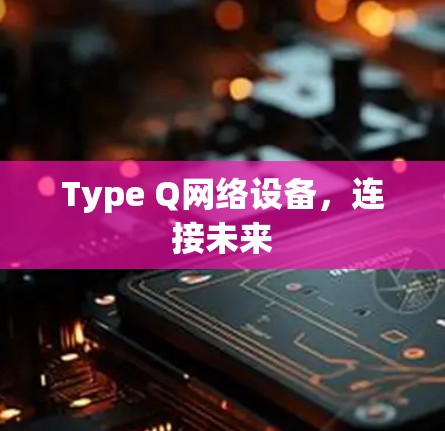 Type Q网络设备，连接未来