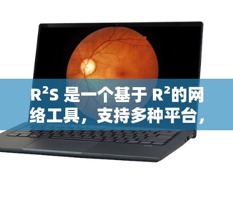 R²S 是一个基于 R²的网络工具，支持多种平台，旨在帮助用户构建和分析网络模型。以下是对 R²S 的详细总结