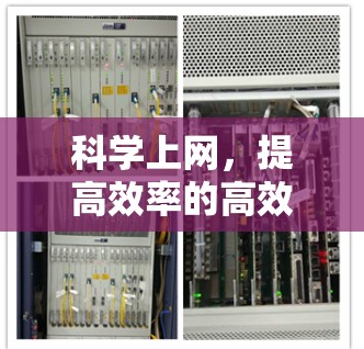 科学上网，提高效率的高效解决方案