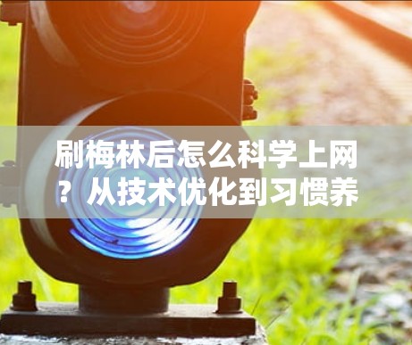 刷梅林后怎么科学上网？从技术优化到习惯养成，让手机成为你的朋友