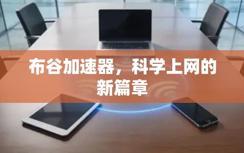 布谷加速器，科学上网的新篇章