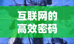 互联网的高效密码,科学上网之谜与解决方案 互联网的高效密码,科学上网之谜与解决方案
