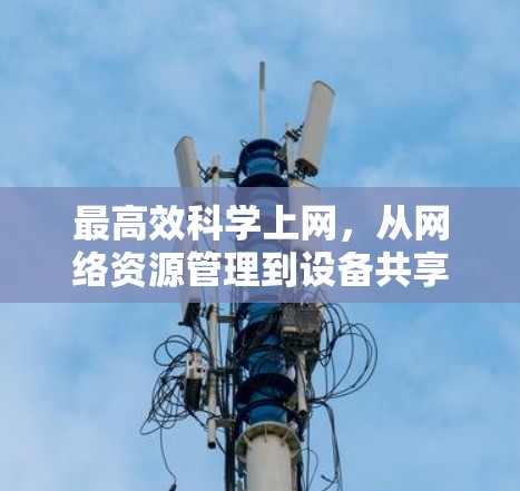 最高效科学上网，从网络资源管理到设备共享的优化方案