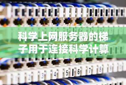 科学上网服务器的梯子用于连接科学计算服务器与其他设备或网络,确保数据传输和存储的安全和高效。以下是对其梯子的详细分析 科学上网服务器的梯子用于连接科学计算服务器与其他设备或网络,确保数据传输和存储的安全和高效。以下是对其梯子的详细分析