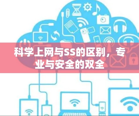 科学上网与SS的区别，专业与安全的双全