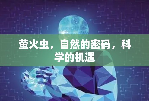 萤火虫，自然的密码，科学的机遇
