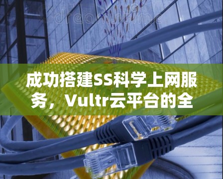 成功搭建SS科学上网服务,Vultr云平台的全面解决方案 成功搭建SS科学上网服务,Vultr云平台的全面解决方案