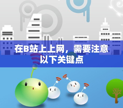 在B站上上网，需要注意以下关键点