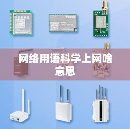 网络用语科学上网啥意思 网络用语科学上网啥意思