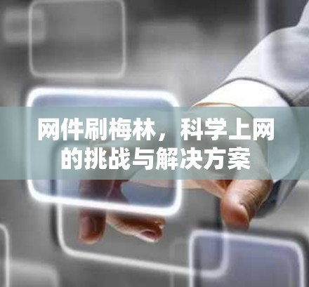 网件刷梅林，科学上网的挑战与解决方案
