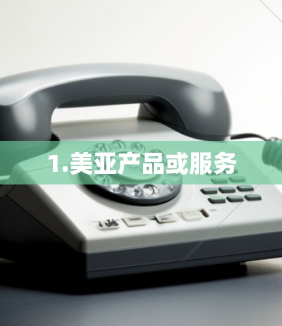 1.美亚产品或服务