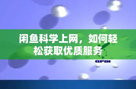 闲鱼科学上网,如何轻松获取优质服务 闲鱼科学上网,如何轻松获取优质服务