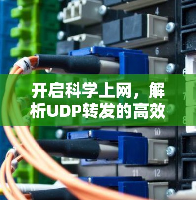 开启科学上网,解析UDP转发的高效策略 开启科学上网,解析UDP转发的高效策略
