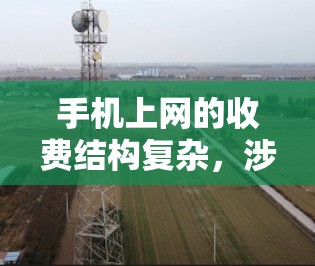 手机上网的收费结构复杂,涉及多种收费方式和套餐,用户需要全面了解每个部分的政策和收费方式,以做出明智的选择。以下是详细的总结 手机上网的收费结构复杂,涉及多种收费方式和套餐,用户需要全面了解每个部分的政策和收费方式,以做出明智的选择。以下是详细的总结