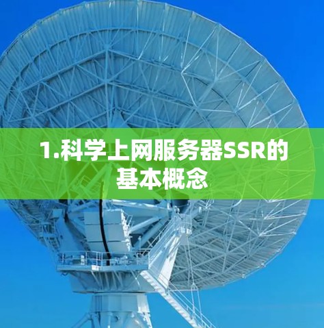 1.科学上网服务器SSR的基本概念 1.科学上网服务器SSR的基本概念