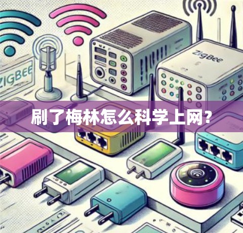 刷了梅林怎么科学上网？