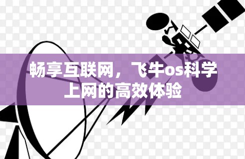 畅享互联网，飞牛os科学上网的高效体验