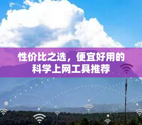 性价比之选,便宜好用的科学上网工具推荐 性价比之选,便宜好用的科学上网工具推荐