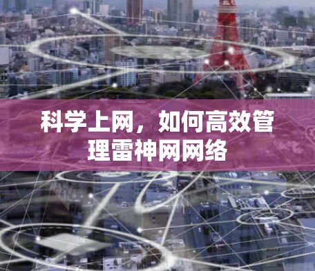 科学上网，如何高效管理雷神网网络