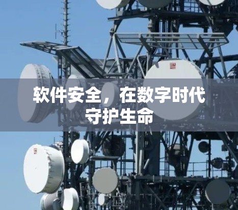软件安全,在数字时代守护生命 软件安全,在数字时代守护生命