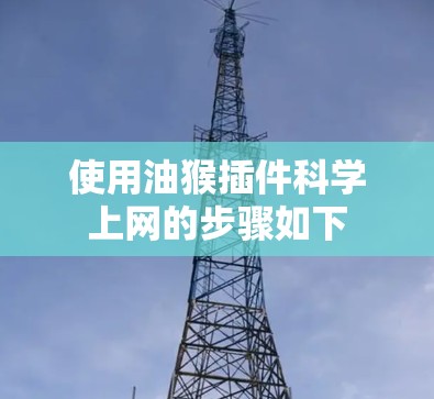 使用油猴插件科学上网的步骤如下 使用油猴插件科学上网的步骤如下