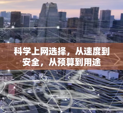科学上网选择,从速度到安全,从预算到用途 科学上网选择,从速度到安全,从预算到用途