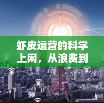 虾皮运营的科学上网,从浪费到效率的跨越 虾皮运营的科学上网,从浪费到效率的跨越