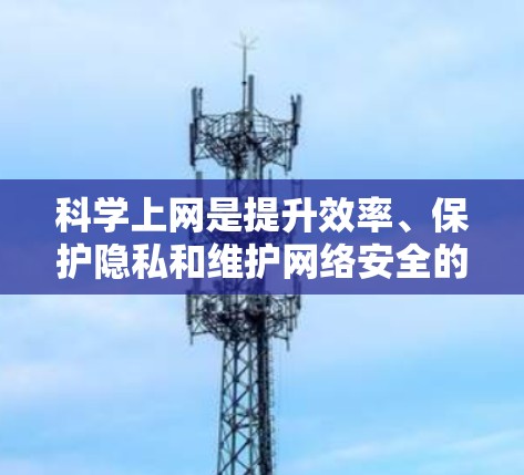 科学上网是提升效率、保护隐私和维护网络安全的重要方法。以下是一些科学上网的实用技巧 科学上网是提升效率、保护隐私和维护网络安全的重要方法。以下是一些科学上网的实用技巧