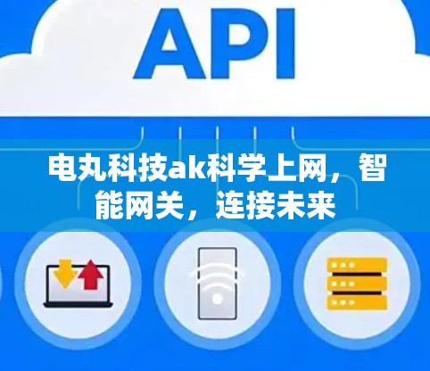 电丸科技ak科学上网,智能网关,连接未来 电丸科技ak科学上网,智能网关,连接未来
