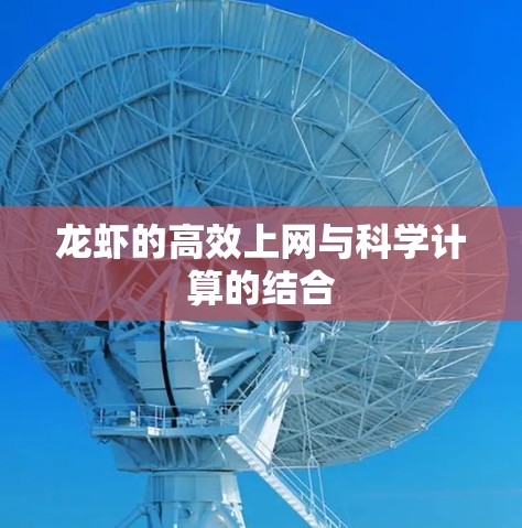 龙虾的高效上网与科学计算的结合