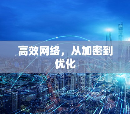 高效网络,从加密到优化 高效网络,从加密到优化