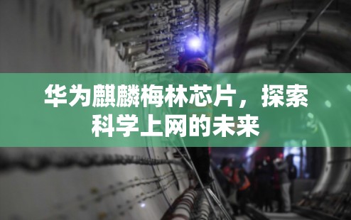 华为麒麟梅林芯片，探索科学上网的未来
