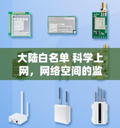 大陆白名单 科学上网，网络空间的监管与挑战