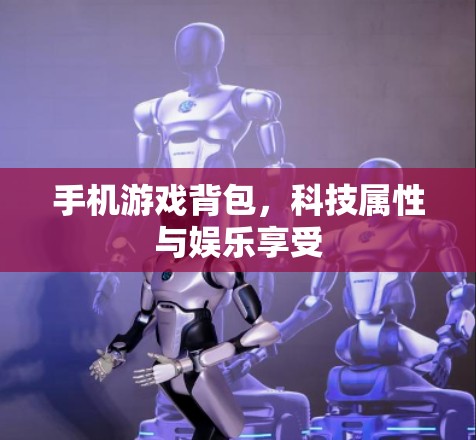 手机游戏背包,科技属性与娱乐享受 手机游戏背包,科技属性与娱乐享受