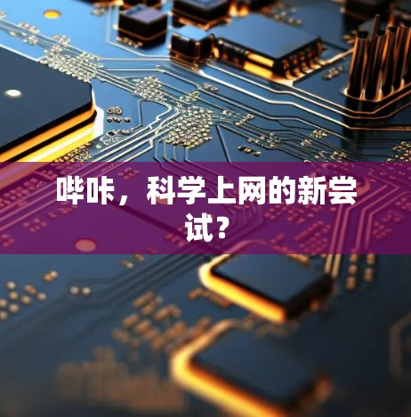 哔咔，科学上网的新尝试？