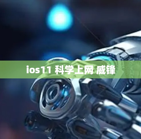 ios11 科学上网 威锋