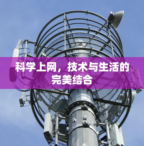 科学上网，技术与生活的完美结合