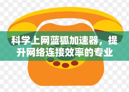 科学上网蓝狐加速器，提升网络连接效率的专业工具